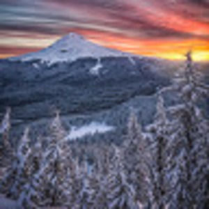 Meet your Posher, Billy